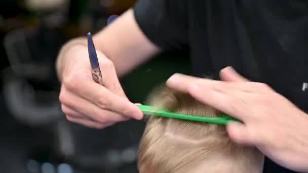 Peluquero hombre cortar el pelo de los niños pequeños usando peine y tijeras. A un niño le cortan el pelo hombres adultos, probablemente peluquero. Peluquería profesional y cliente lindo en la barbería moderna. - Metraje, vídeo