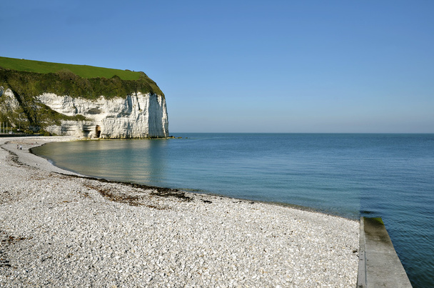 Beach and cliff of Yport in France - Photo, Image