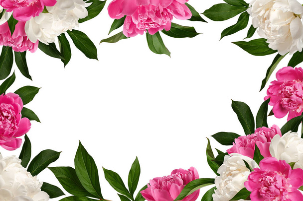 Juhlava kukkakehys. Vaaleanpunainen ja valkoinen pioni kukkia lehdet eristetty valkoisella pohjalla. Suunnitteluelementti kollaasin tai muotoilun luomiseen, hääkortit ja kutsut. Päällekkäisyys. - Valokuva, kuva