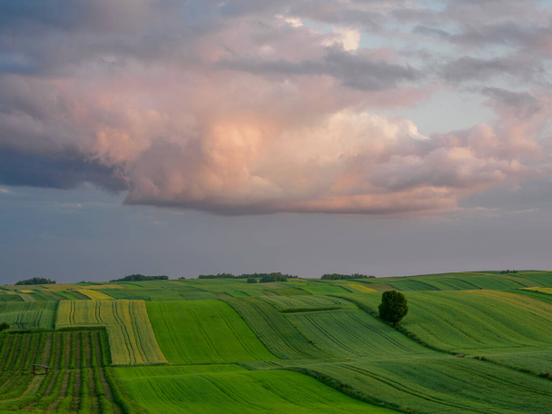 Paisaje. Campos agrícolas en verano. Roztocze. Polonia. - Foto, imagen