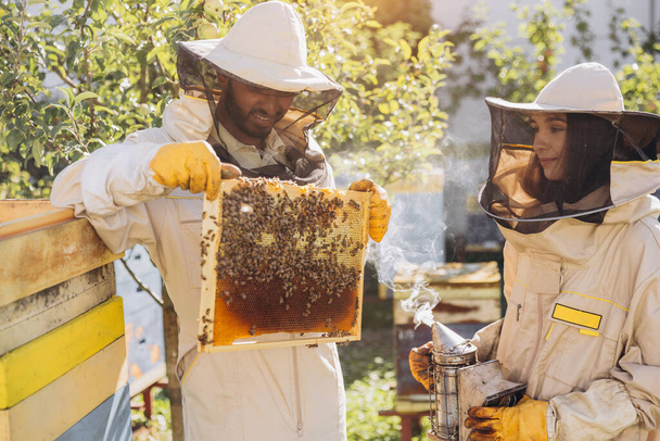 Squadra internazionale di apicoltori felici, l'uomo tira fuori una cornice di legno da un alveare e una donna tiene il fumatore - Foto, immagini