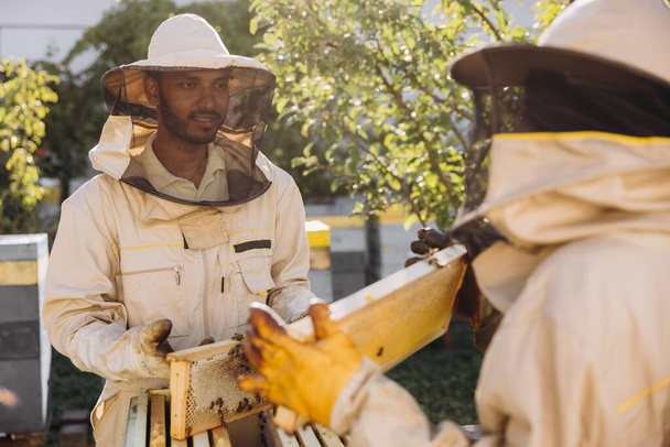 Zwei Imker arbeiten mit Bienenwaben voller Bienen, arbeiten in Schutzuniformen auf dem Bienenhof und holen Bienenwaben aus dem Bienenkorb - Foto, Bild