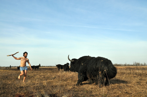 Savage κυνηγάει yak με ένα δόρυ - Φωτογραφία, εικόνα