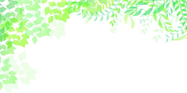 Свежие зеленые листья
 - Вектор,изображение