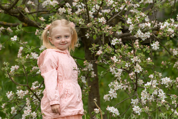 Ritratto di bella ragazza bionda carina con due code di cavallo indossa giubbotti rosa stand nel giardino primaverile vicino all'albero fiorito - Foto, immagini