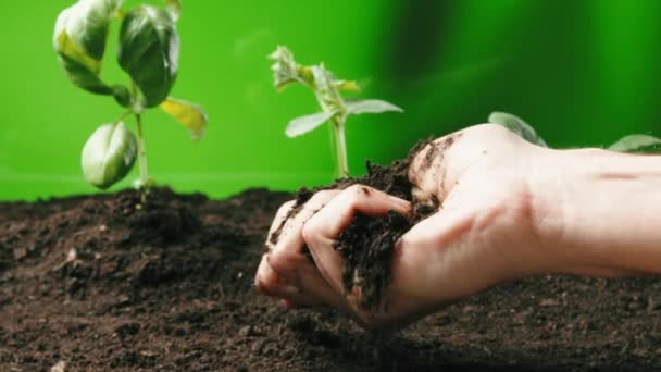 Movimento lento del terreno di potting della farina della mano per le piante - Filmati, video