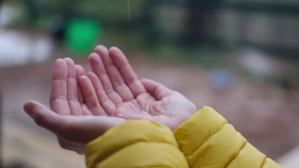 Krople deszczu spadające w otwarte dłonie częściowej kobiety - Materiał filmowy, wideo