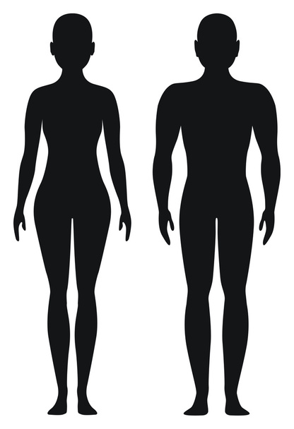 Пропорциональные формы мужчин и женщин
 - Вектор,изображение