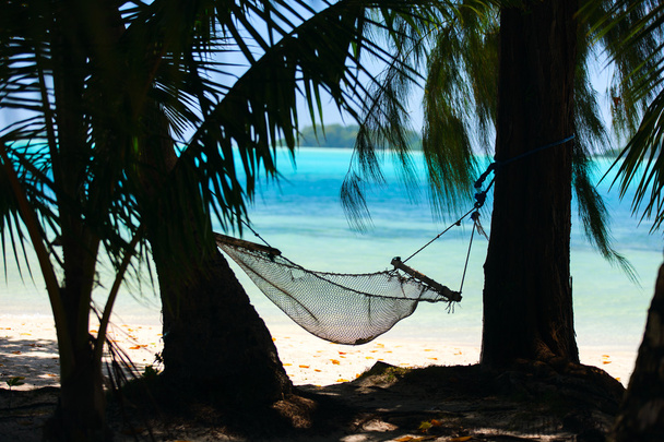 гамак на пляже - Фото, изображение