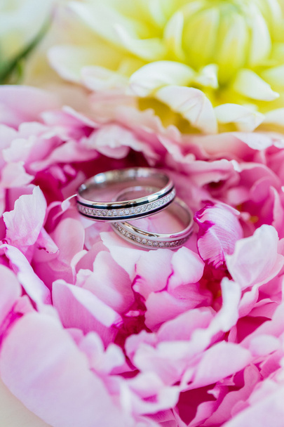 Wedding rings - Zdjęcie, obraz