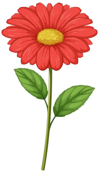 Uma margarida vermelha brilhante com folhas verdes ilustração - Vetor, Imagem