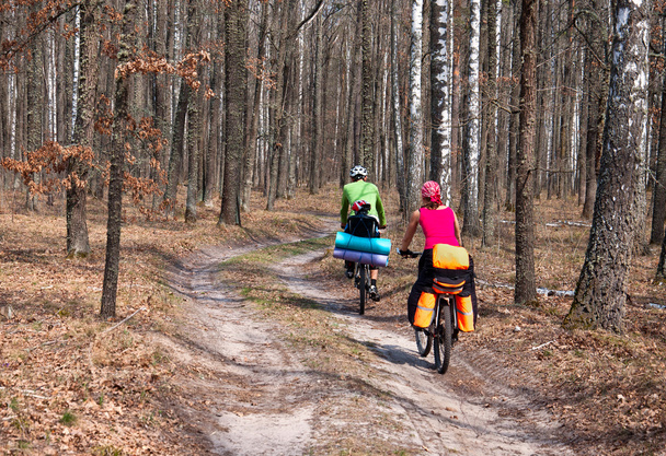 Muž, žena a dítě cvičí horských kol na lesní stezka. - Fotografie, Obrázek