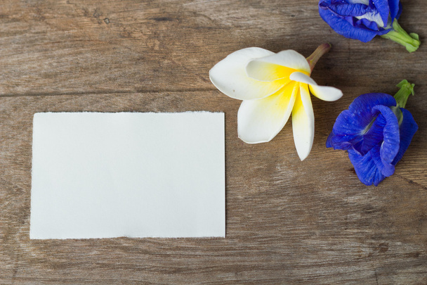 καρτ ποστάλ με φρέσκα λουλούδια. - Φωτογραφία, εικόνα