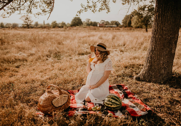 幸せなヨーロッパの白人妊婦は,カメラを見ている自然のピクニックでリラックスしています. 帽子とドレスを着た 期待する母親は 腹に手を握る。 モルトと向き合って - 写真・画像