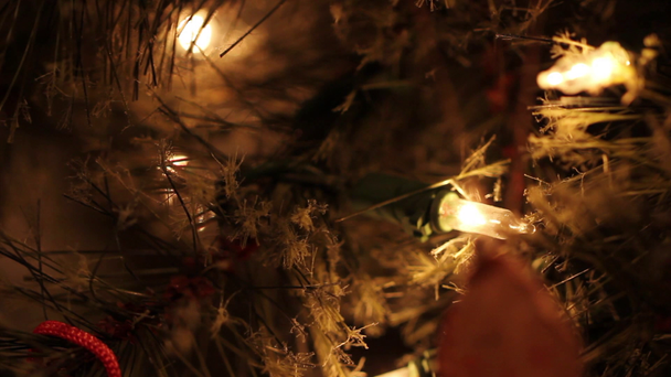Christmas tree lights - Footage, Video