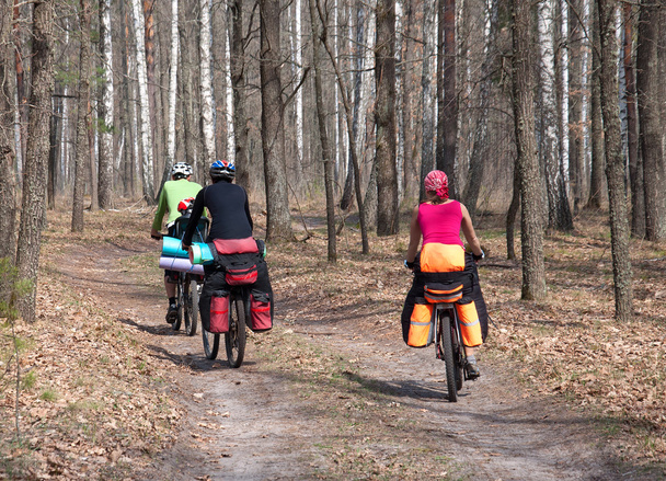 ομάδα τουριστών βόλτα με ποδήλατο βουνού στο δάσος μονοπάτι. - Φωτογραφία, εικόνα