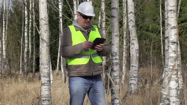 Лесной инженер с планшетным ПК в березовой роще
 - Кадры, видео