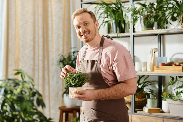 Un hombre en un delantal con amor sostiene una planta en maceta en un ambiente acogedor. - Foto, Imagen