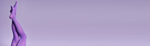 жіночі ноги, одягнені в вражаючі фіолетові панчохи і відповідний фон в студії. - Фото, зображення