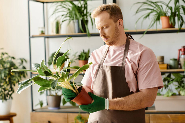 Ένας κομψός άντρας με ποδιά κρατά απαλά ένα φυτό σε γλάστρα, δείχνοντας το πάθος του για κηπουρική και δημιουργικότητα. - Φωτογραφία, εικόνα