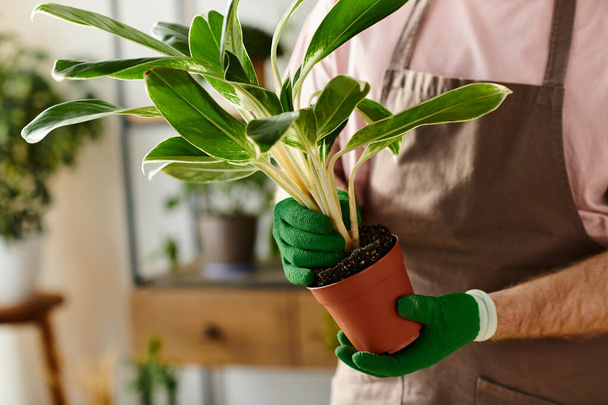 Un hombre acuna amorosamente una planta en maceta, mostrando su pasión por la jardinería y la naturaleza nutritiva en su pequeña tienda de plantas. - Foto, imagen