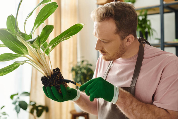 Mies pitää kasvia hellävaraisesti käsissään, osoittaen rakkautensa luontoon ja omistautuneisuutensa omalle kasvikauppaliiketoiminnalleen.. - Valokuva, kuva
