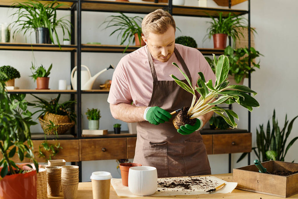 Um homem bonito em um avental tende a uma planta em uma loja de pequena empresa, incorporando o próprio conceito de negócio. - Foto, Imagem
