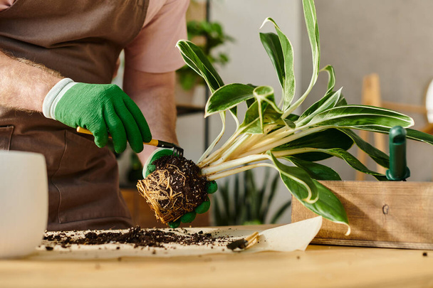 Un hombre con guantes verdes corta delicadamente una planta en una vibrante muestra de experiencia y cuidado en jardinería. - Foto, imagen