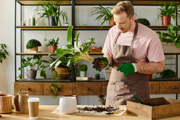 Ein Mann in Schürze und Handschuhen dekoriert eine Topfpflanze mit Sorgfalt und Präzision in einem charmanten Pflanzenladen-Ambiente. - Foto, Bild