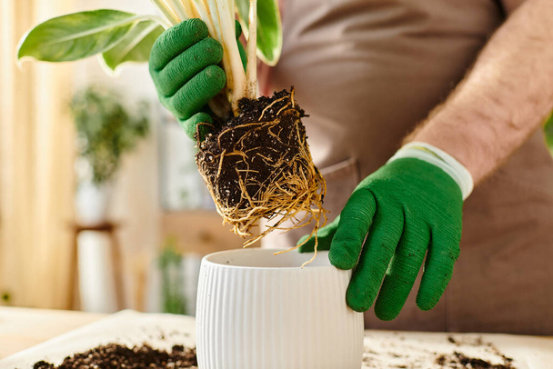 hombre cortado en guantes verdes cuidado de la planta en la pequeña tienda de plantas, encarnando el propio concepto de negocio. - Foto, imagen