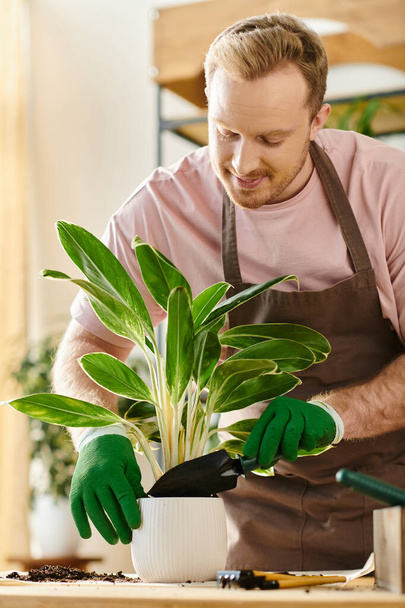 Önlüklü ve eldivenli bir adam, çiçekçi dükkanındaki saksı bitkisine dikkatlice bakar. Çiçek işine sahip olmanın özünü somutlaştırır.. - Fotoğraf, Görsel
