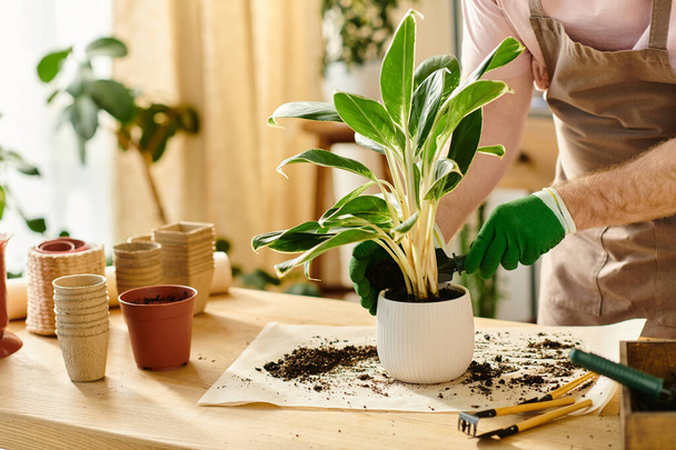 Een persoon in een schort voegt teder grond toe aan een potplant in een plantenwinkel, die de zorg en toewijding van een kleine ondernemer belichaamt. - Foto, afbeelding