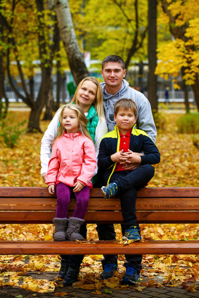 Family of four with yellow maple leaves sits in wood in autumn - Valokuva, kuva