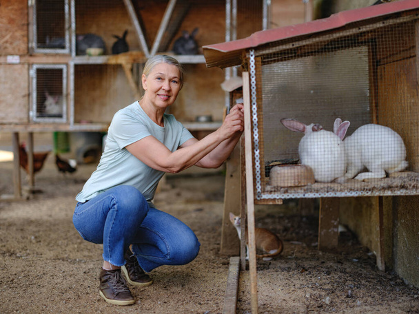 Mujer agricultora adulta con conejos blancos en su granja. El agricultor cuida de los animales. - Foto, imagen