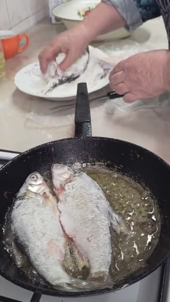 Az idősebb kaukázusi nők kezei lisztbe mártják a csótányt, és olajjal töltött serpenyőbe teszik, hogy megsüthessék a kályhán az otthoni konyhában.. - Felvétel, videó