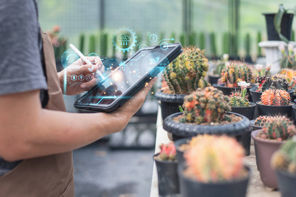 A person uses a tablet to monitor cactus plants in a smart greenhouse with digital futuristic interface - Photo, Image