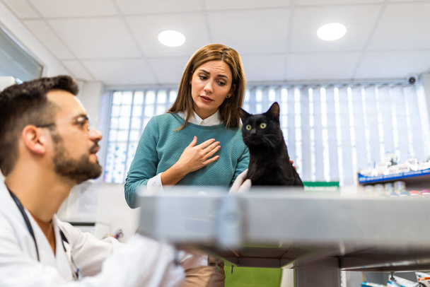 Fiatal férfi, egy állatorvos a szakma, vizsgál egy macska a modern állatorvos.Fiatal tulajdonos segít lenyugtatni a kisállat és beszél az állatorvos szakember. - Fotó, kép