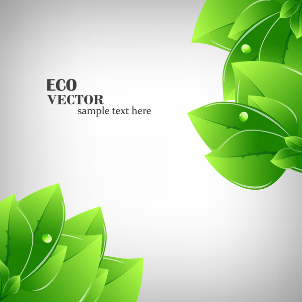 Green leaves illustration - Vettoriali, immagini