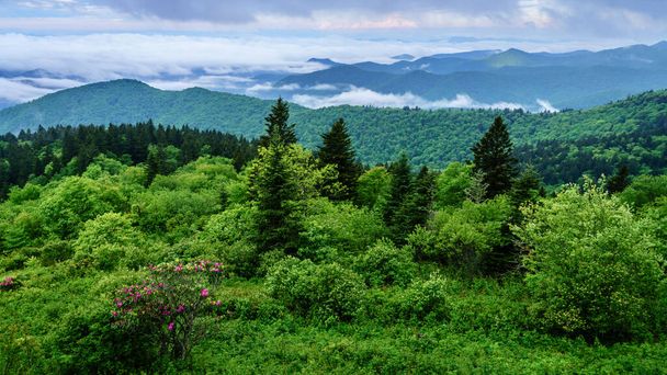 Vista panoramica delle Smokie Mountains da Blue Ridge Parkway vicino Maggie Valley, Carolina del Nord - Foto, immagini