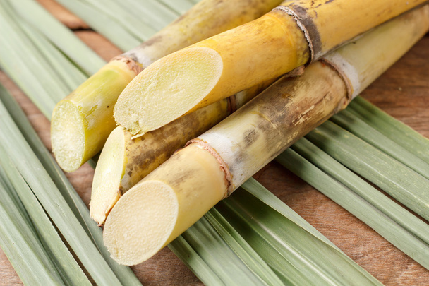 Sugar cane on wood background. - Photo, Image