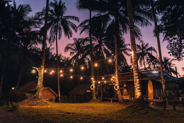 Pálmafák villanykörtékkel éjszaka a szigeten, az utazás szárazföld. - Fotó, kép