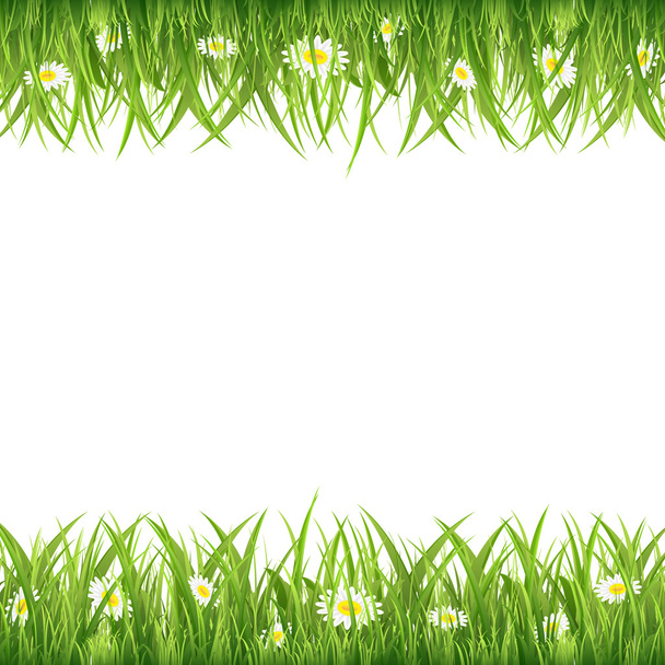 Grass - Vektor, obrázek
