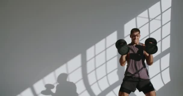 Sport e fitness concept. Forte uomo atletico sollevare manubri durante l'allenamento in studio con sfondo bianco. bodybuilder maschile esercizio con pesi. Stile di vita attivo - Filmati, video