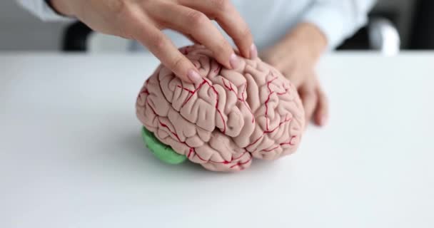 Female hand strokes mock up of human brain. Relaxing and unloading brain from thoughts concept - 映像、動画
