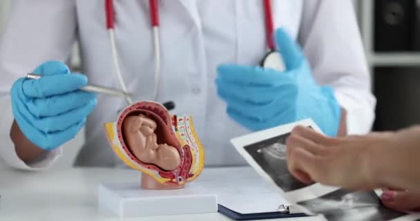 La mujer embarazada sostiene la ecografía y se comunica con el ginecólogo. Desarrollo fetal por semanas de embarazo - Metraje, vídeo