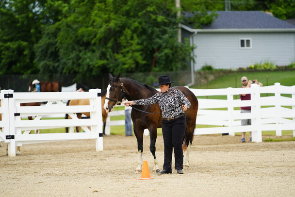 Фонд дю Лак, Вісконсин / США - 17 липня 2019 року: Молода дівчина з конем на кінному шоу на публічному кінному ранчо в Фонд дю Лак, Вісконсин - Фото, зображення