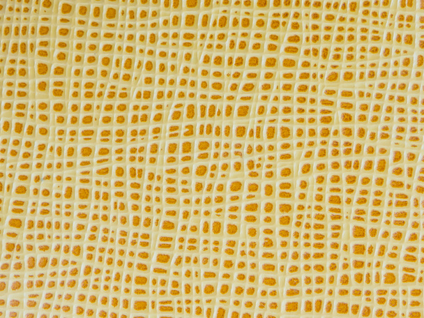 yellow cow  leather with pattern  - Photo, Image