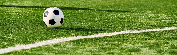 Egy élénk focilabda békésen pihen egy érintetlen és gazdag zöld mező tetején, felidézve a nyugalmat egy élénk játék előtt. A buja fű körülveszi a labdát, megnyugtató és festői jelenetet teremtve.. - Fotó, kép