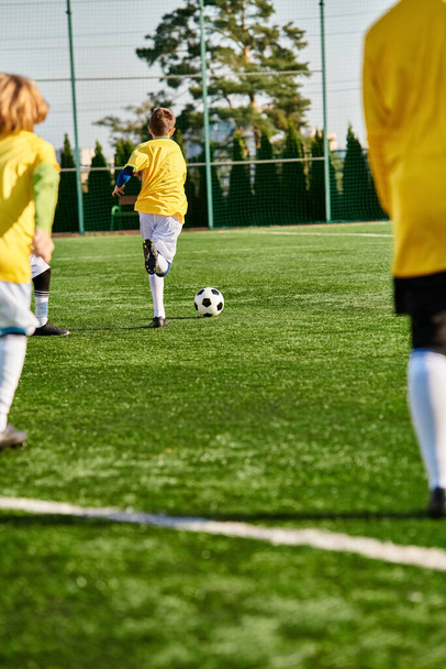 Живая группа маленьких детей, участвующих в энергичной игре в футбол на солнечном поле, демонстрируя свою страсть, командную работу и навыки, как они бегают, удар, и забить голы. - Фото, изображение
