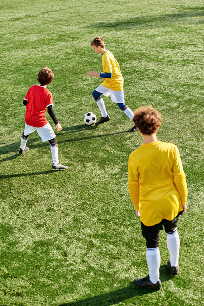 Μια ομάδα νεαρών ανδρών που παίζουν με ενθουσιασμό ένα παιχνίδι ποδοσφαίρου σε ένα χορταστικό γήπεδο. Κλωτσάνε, πασάρουν, και τρίβουν την μπάλα ενώ τρέχουν και σχεδιάζουν να σκοράρουν γκολ. - Φωτογραφία, εικόνα